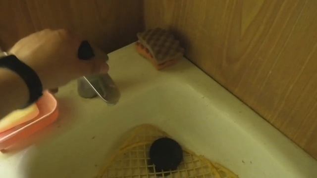 Заброшенный дачный поселок в лесу смотреть онлайн