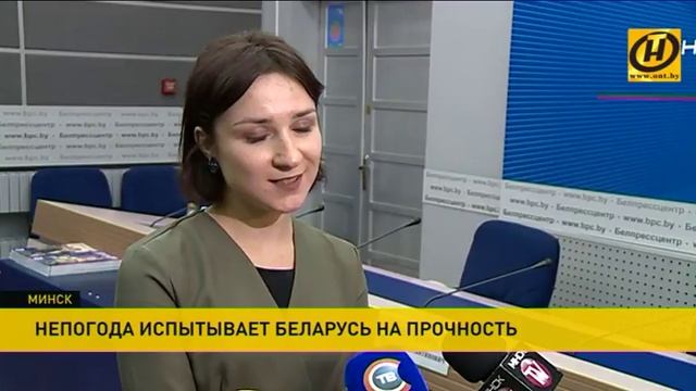 Сильный ветер в Гродно повалил 13 деревьев смотреть онлайн