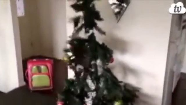 С китайским новым годом!! смотреть онлайн