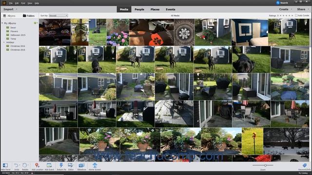 Photoshop Elements 2021 Tutorial Renaming Images Adobe Training смотреть онлайн