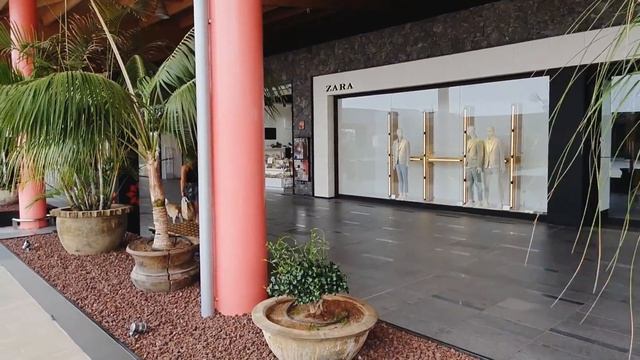 Обзор растений в торговом центре Siam Mall на острове Тенерифе. Май 2021.