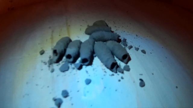 Пустые коконы под антресолью (похожи на коконы паука) - старые жильцы квартиры здорово её запустили смотреть онлайн