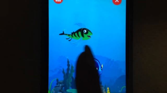 Растишка морський свiт пiзнавай магниты оживи все магниты смотреть онлайн