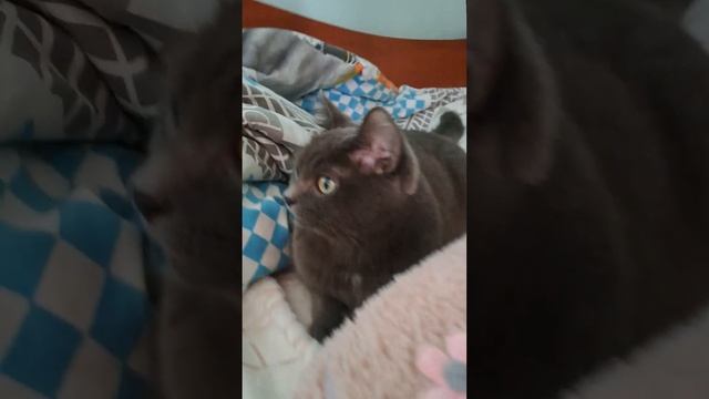 2часть я пошле школы смотреть онлайн