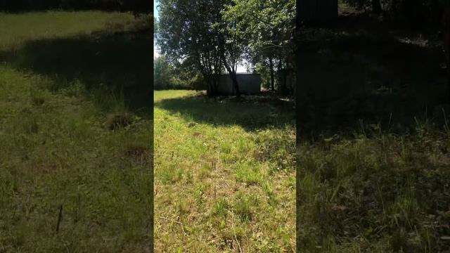 Участок 12 соток ИЖС смотреть онлайн