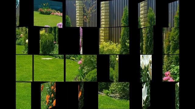 Совместимость растений в саду. За и против.#совместимостьрастенийвсаду,#сад. смотреть онлайн