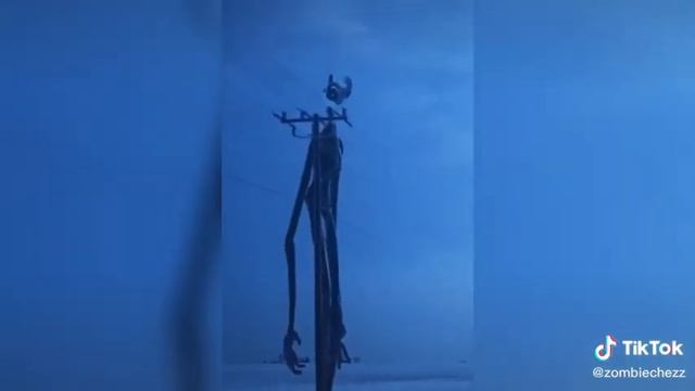 Настоящий СИРЕНОГОЛОВЫЙ снятый на камеру! смотреть онлайн