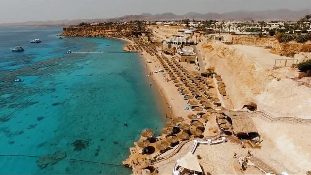 MONTE CARLO SHARM RESORT & Spa 5*/ROYAL MONTE CARLO 5* - самый честный и детальный обзор отеля 202 смотреть онлайн