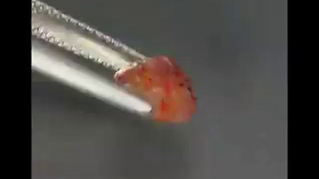 Натуральный Солнечный камень 2.35 карат! Артикул: 23392 цена: 235 руб смотреть онлайн