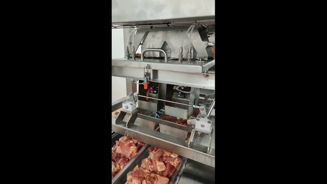 Дозирование Шашлыка в Лоток термоформера смотреть онлайн