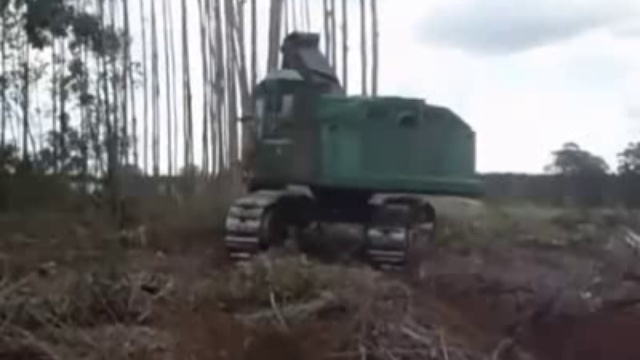 Крутая техника валит деревья смотреть онлайн