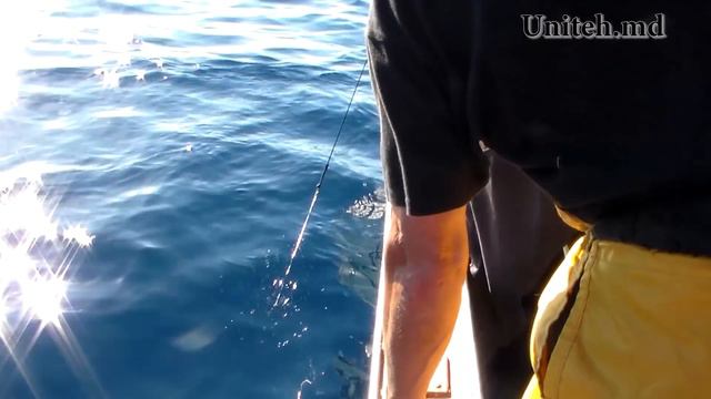 Ловля тунца