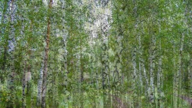 Возвращение к Богу. Освобождение от дуальности. Практика.