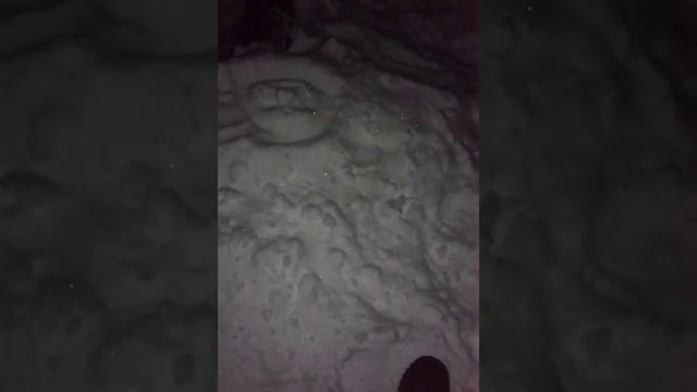 Закопали в снег смотреть онлайн