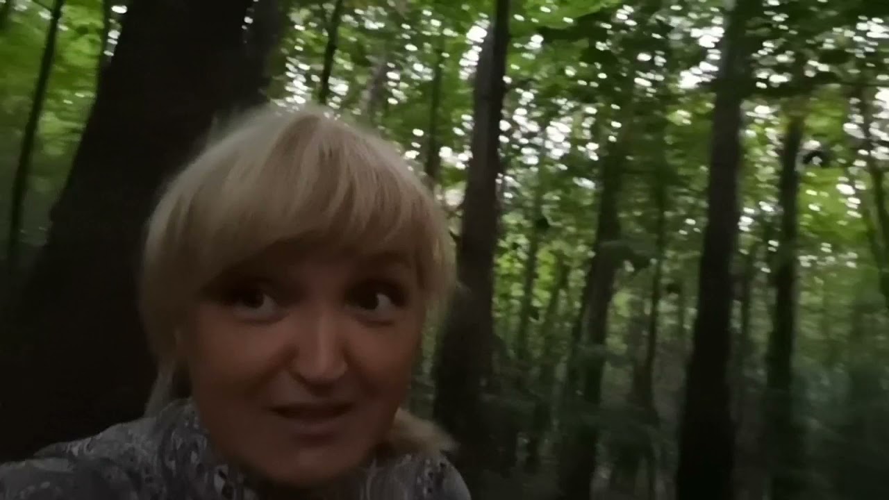 Кора, шишки, хвоя, мох... смотреть онлайн