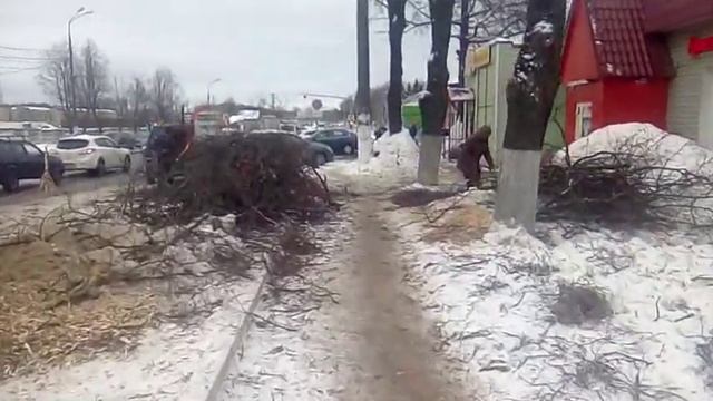 Наро-Фоминск, измельчение лип смотреть онлайн
