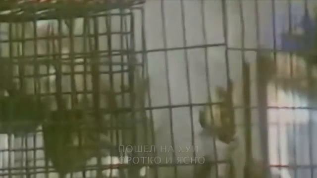 ЕКАТЕРИНА — Bonus - это тебе
