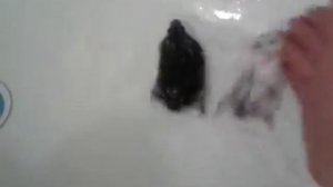 Как наши хомячки плавали в ванной.