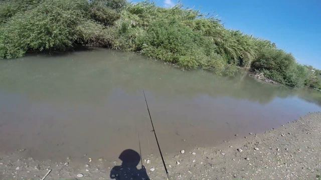 Выходные с женой 12/09/2014 смотреть онлайн