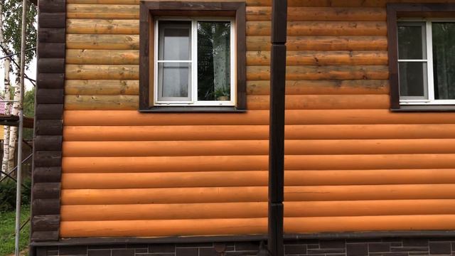 ВСЕ животные помогают в покраске дома || Алабай, кот, чихуахуа, той терьер || CAT AND DOG TEAM смотреть онлайн