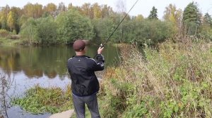 Обзор спиннинга ZEMEX SPIDER Z-10 802M, 5-28g. Универсальный вариант!