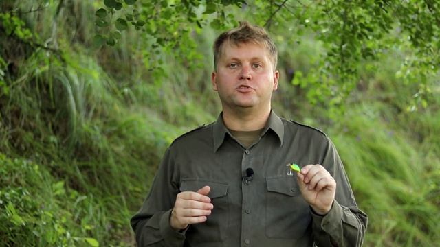 Всё о легенде ультралайта. Воблер Jackall Chubby смотреть онлайн