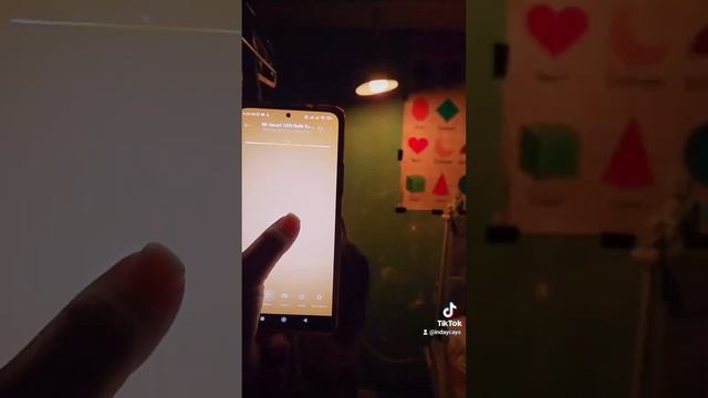 XIAOMI MI SMART LED BULB смотреть онлайн