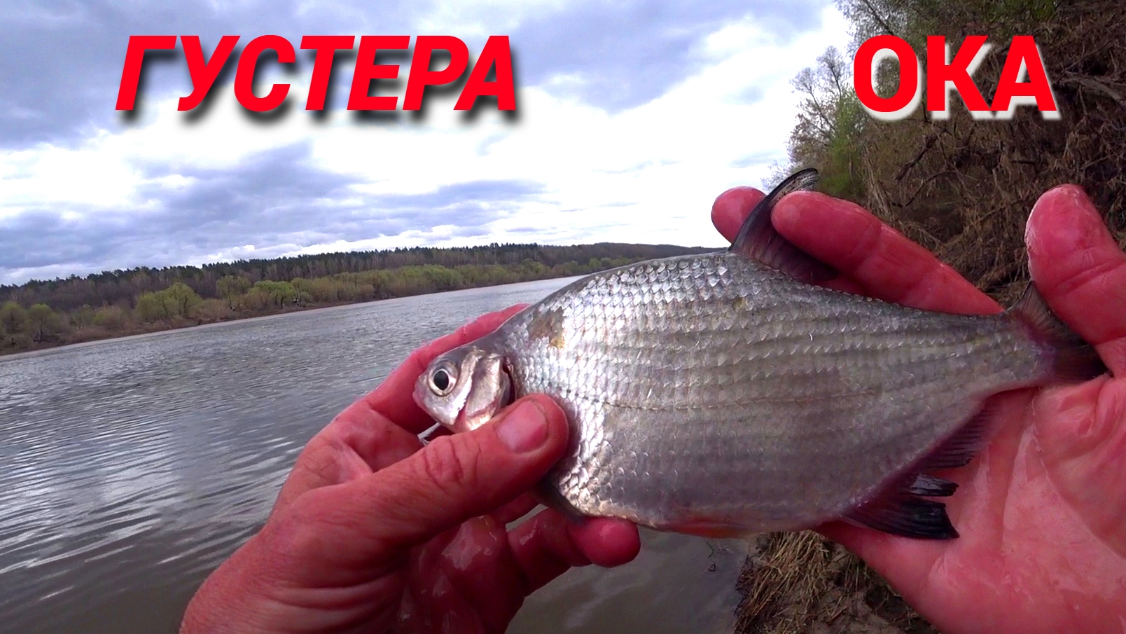 ГУСТЕРА ПРОСНУЛАСЬ. Рыбалка на ОКЕ ранней весной. смотреть онлайн