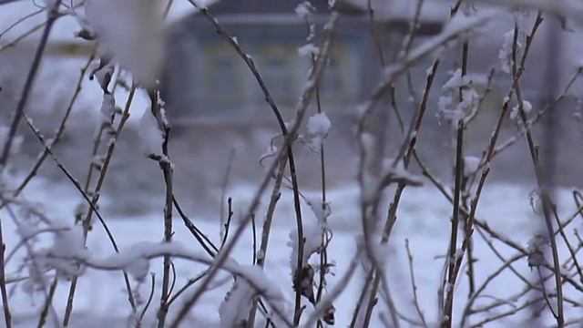 Остатки КЛАДА. Шкерюсь от соседей. Часть 4. смотреть онлайн