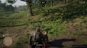 Что ждет всех в открытой сессии на ПК в Red Dead Online!