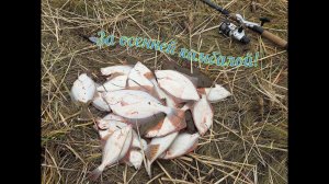 ОСЕННЯЯ КАМБАЛА НА ФИДЕР!  ДАЖЕ НЕ ОЖИДАЛ ТАКОГО! БЕЛОЕ МОРЕ!