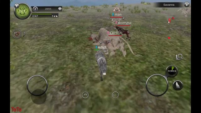FUN IN SAVANNA WILD ANIMALS ONLINE BY TOTO. смотреть онлайн