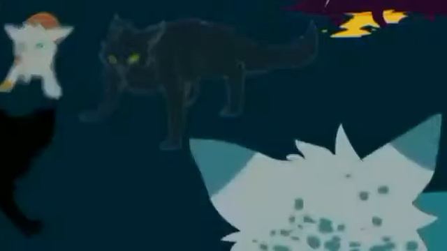 Коты воители: Остролистая смотреть онлайн