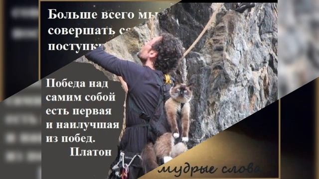 Цените жизнь ведь она одна смотреть онлайн