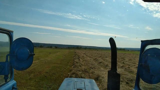 Сенокос 2023 г.Грабли ГВК.В работе. смотреть онлайн