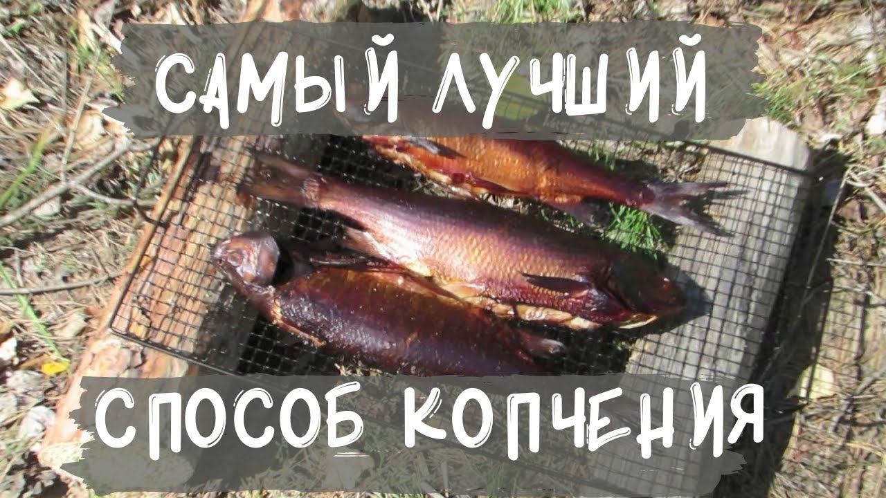 Рыба горячего копчения в яме в походных условиях смотреть онлайн