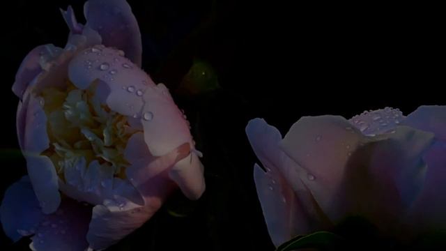SUMMER 2016 (Фото Igor Demanov (Торонто), музыка - Secret Garden) смотреть онлайн