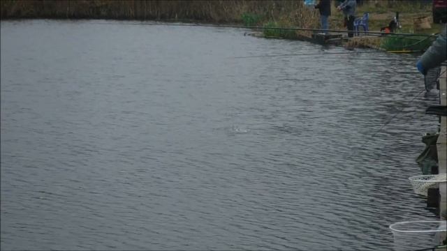 Платная рыбалка смотреть онлайн