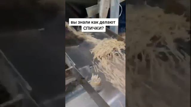 узнали спички, как делают. смотреть онлайн