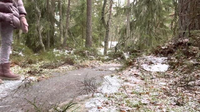 Finland: Hiking adventures in Kirkkonummi #hiking #finland смотреть онлайн