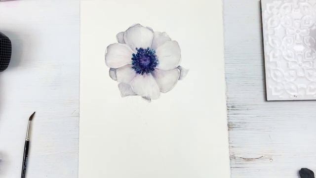 КАК НАРИСОВАТЬ АНЕМОН? смотреть онлайн