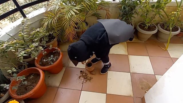 MySDGFairyTale/ShreyanshVerma/Class-I/S.Code-1003 смотреть онлайн