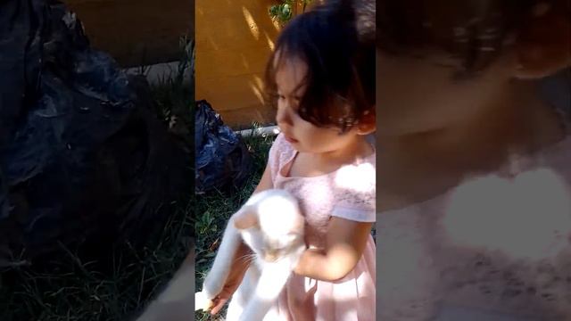 anto y sus amigos temporada 2 pt4#jugar #niños #minecraft #chile #contenidoparaniños #antonio #gato смотреть онлайн