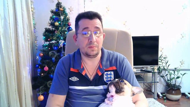 Где я купил щенка? В питомнике! Осторожно, много милоты! смотреть онлайн