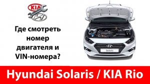 Где находится номер двигателя Киа Рио / Hyundai Solaris? А VIN коды на кузове?
