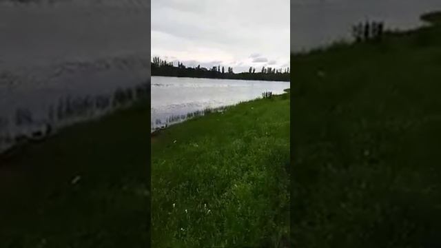 Макеевское море. Пруд на территории г. Макеевки ДНР смотреть онлайн