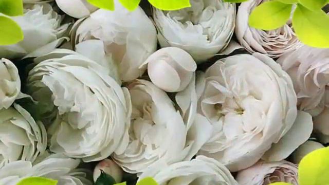 Весенние радости 💐