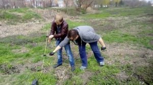 Установка и проверка электропастуха