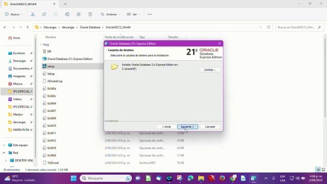 Instalación en SGBD en versión de Oracle database XE y SQL Developer смотреть онлайн
