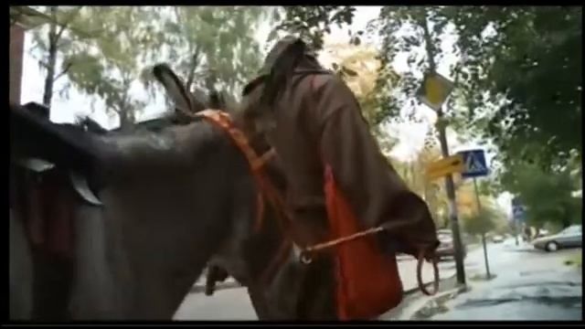 Папаша Беппе в Калининграде смотреть онлайн